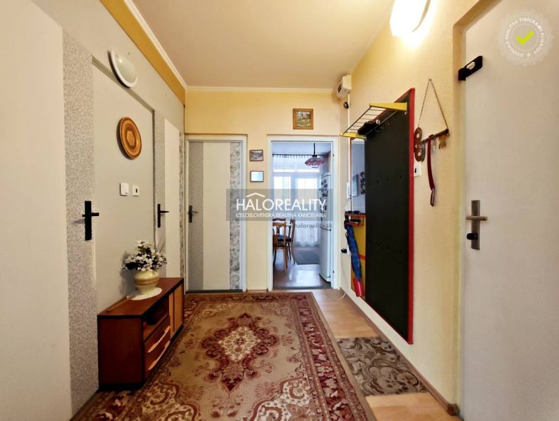 A hallway with carpet and entrance to the kitchen in a 2-room apartment.