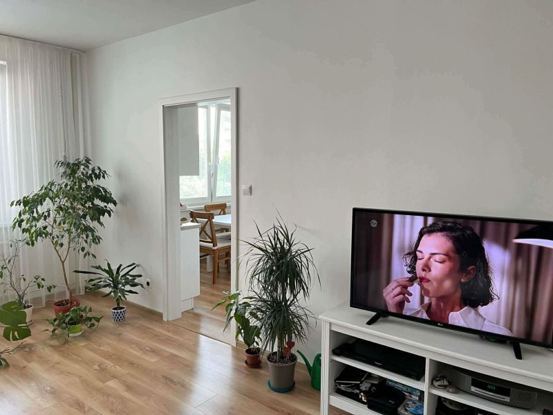 A room with a wooden floor decor, a television, plants, and a dining table in the background.