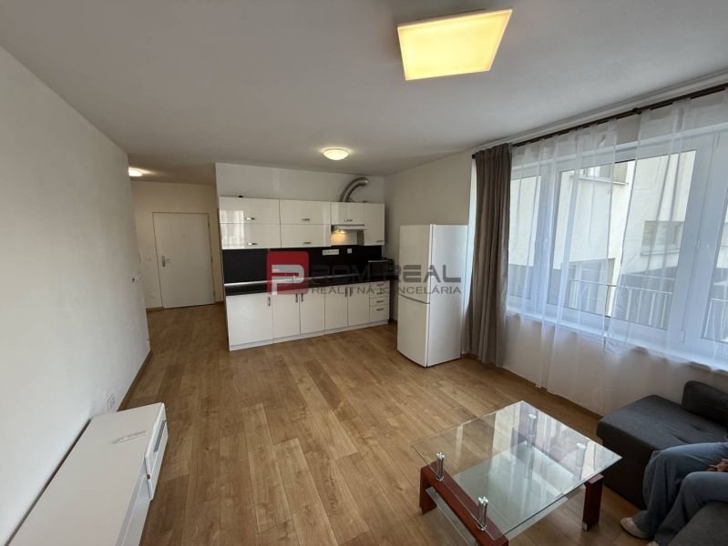 Living room with a kitchenette in a 2-room apartment, wooden decor flooring, sofa.
