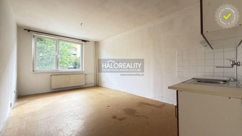 Studio apartment with a large window, basic kitchenette, and wood-patterned flooring.