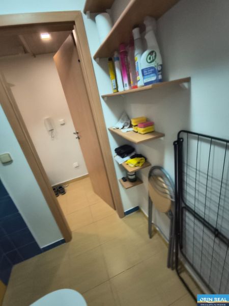 Storage space with shelves and cleaning supplies in a studio apartment.