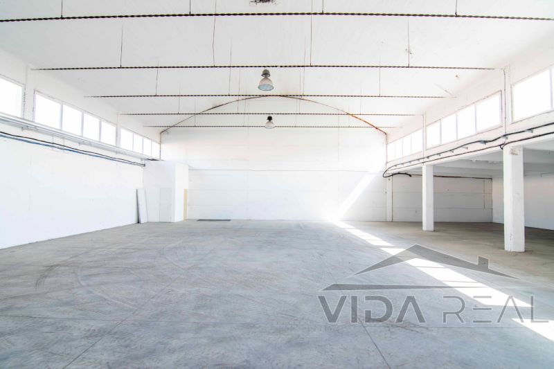 Spacious interior designed for warehouses and halls with a concrete floor and white walls.