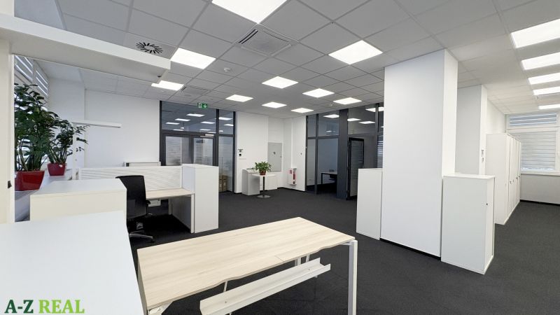 Spacious office interior with white furniture and plants, wooden decor flooring.