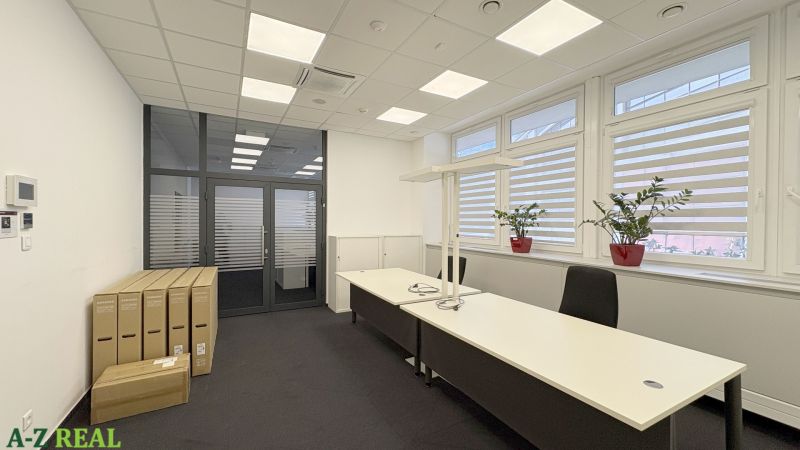 Offices with white desks, office chairs, and plants on the windowsills.