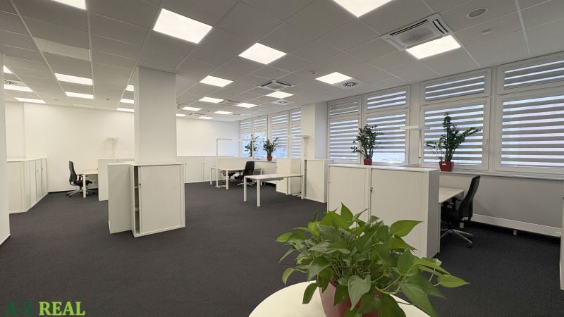 Offices with white furniture, black carpet, and plants at workstations.