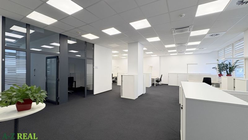 Offices with glass partitions, carpeted floors, and greenery make the space cozy.