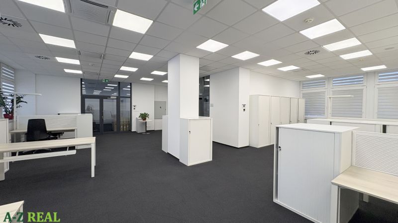 Spacious offices with white furniture and plants on a wooden decor floor.