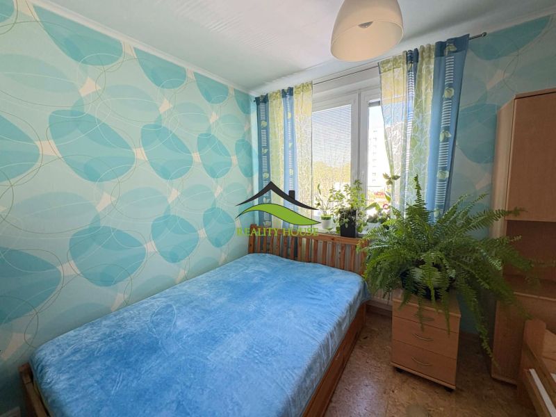 A bedroom in a 4-room apartment with blue walls, plants, and a chair.