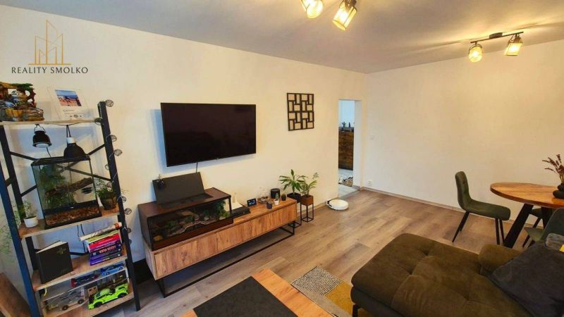 Living room with wood-patterned flooring, a television, shelves, and plants in a 3-room apartment.