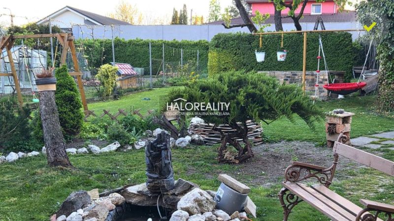 The garden of a family house in Poltár with a swing, benches, and decorative vegetation.