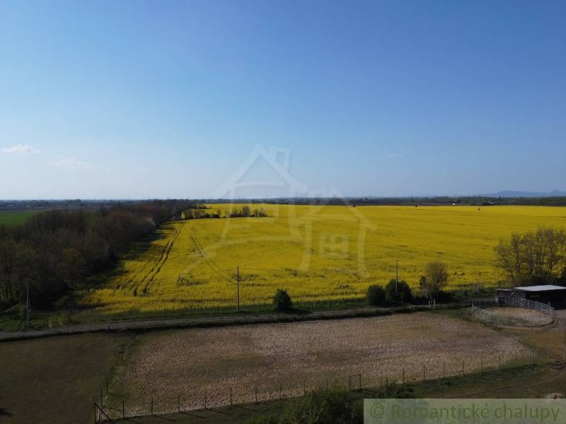 A landscape with a blooming field in Palárikovo suitable for plots - housing.
