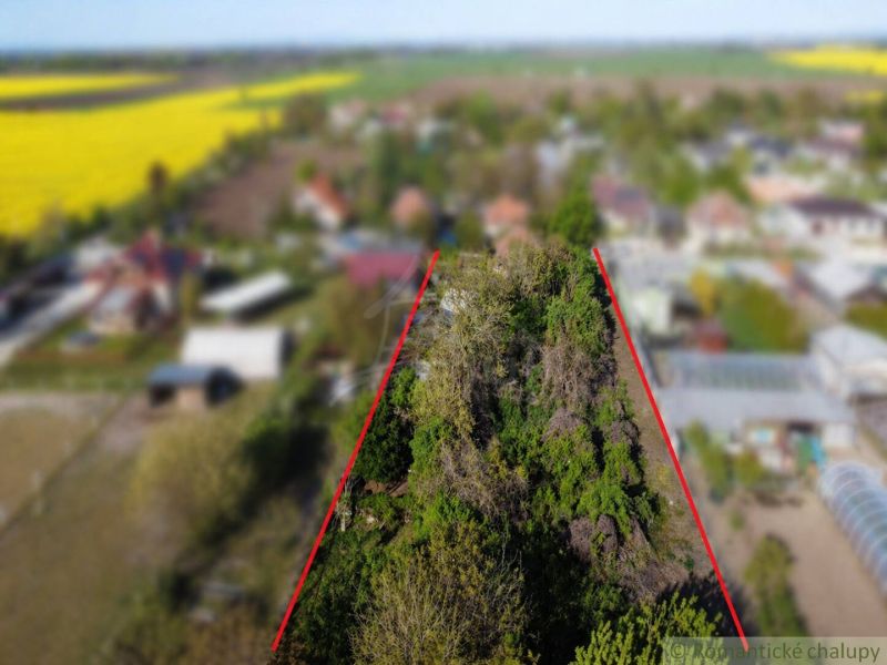 Greenery on a residential plot in Palárikovo surrounded by rural landscape.