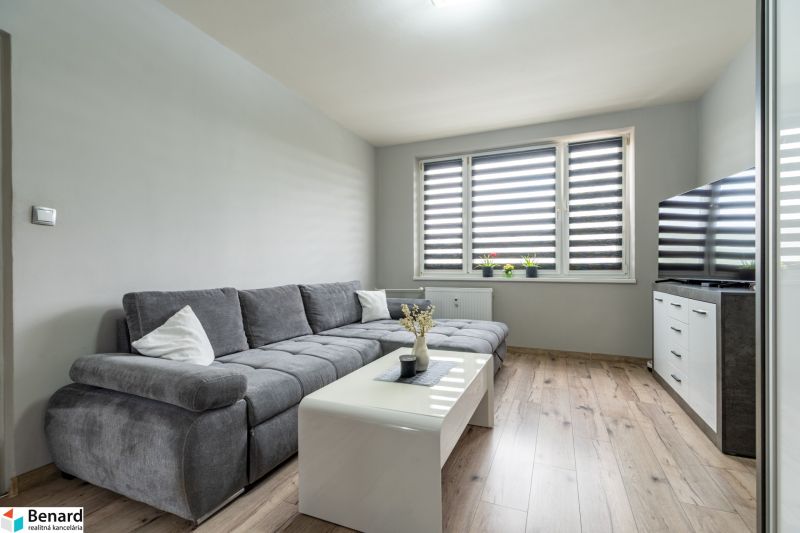 Living room with a comfortable gray sofa and a wooden-patterned floor in a two-room apartment.