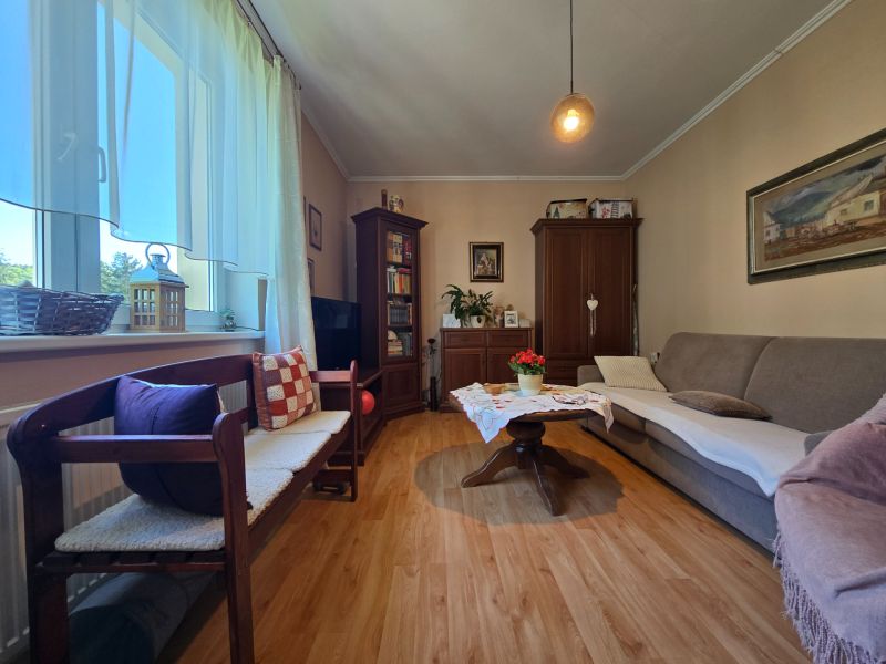 Living room in a 2-room apartment with a sofa, wooden furniture, and a floor with a wood decor.