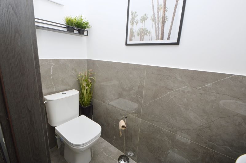A toilet in a family house with a decorative painting and plants.