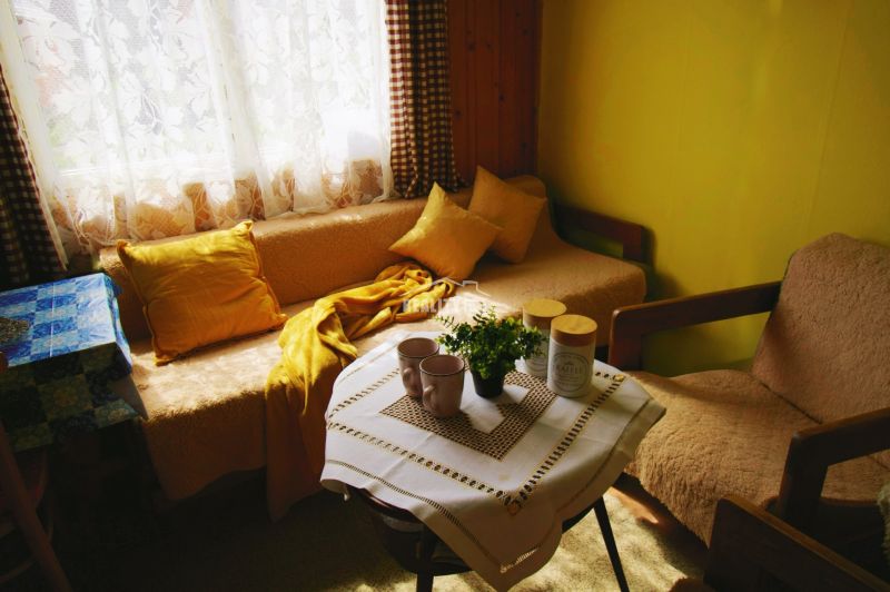 A cozy cabin interior with a sofa, a table with decorations, and a seagull by the window.