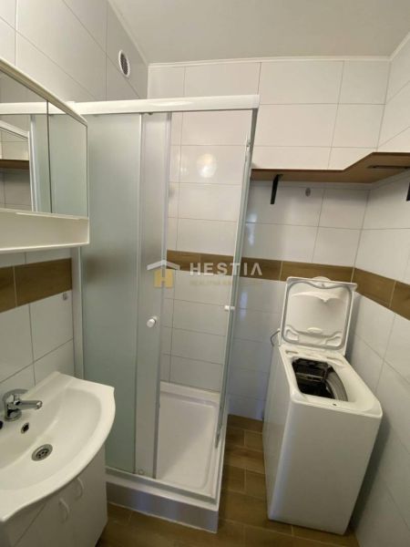 A bathroom in a 2-room apartment with a sink, shower, and washing machine.