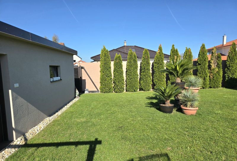 The garden of a family house on M. Terézie in Holíč with thuja trees and flower pots on the lawn.