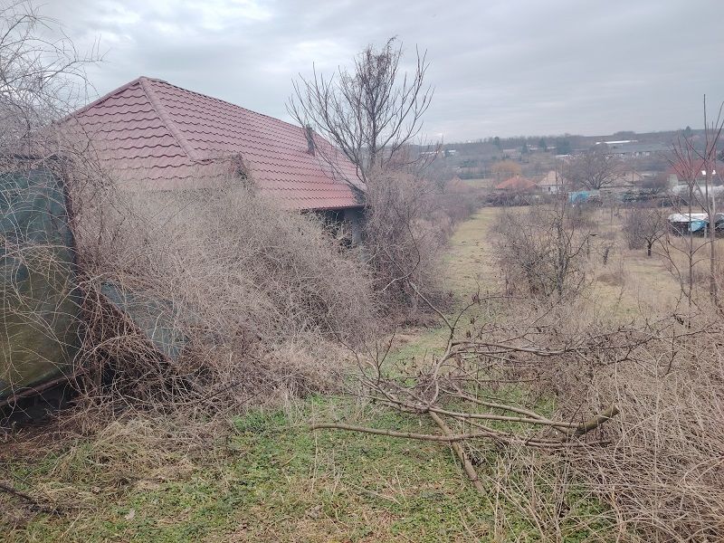 A plot in Dulovce with a house and dense vegetation, ideal for residential living.