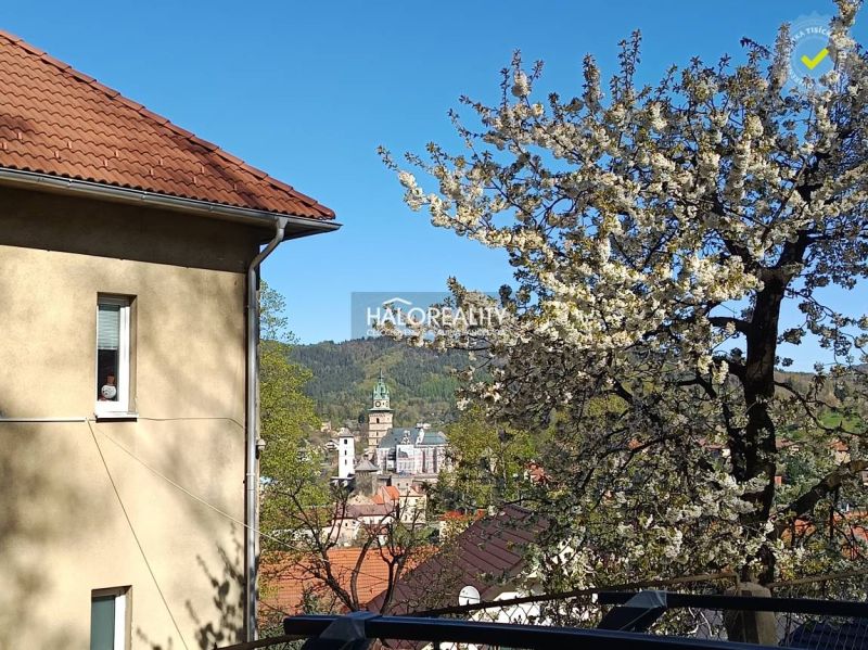 Flowering tree and view of the historic center of Kremnica, suitable for living in a 2-room apartment.
