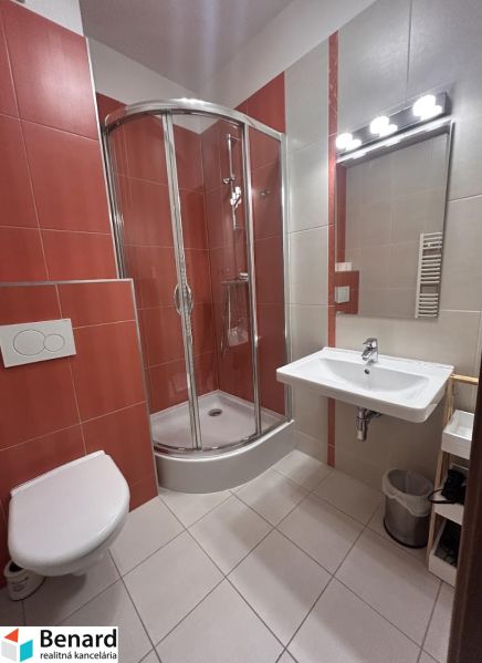 Bathroom with a shower, sink, and toilet in a 2-room apartment.