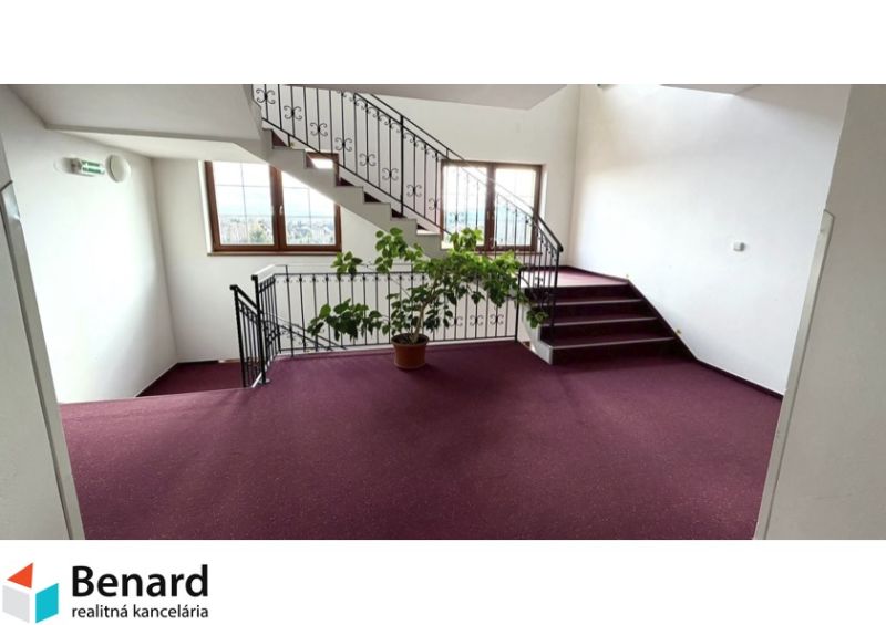 A staircase with a carpet and a plant in a 2-room apartment with large windows.