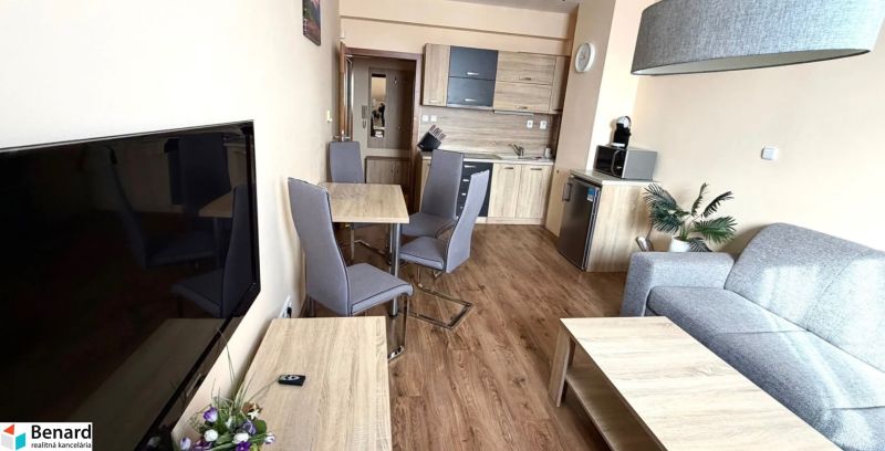 Living room of a two-room apartment with a kitchen, sofa, and wooden decor flooring.