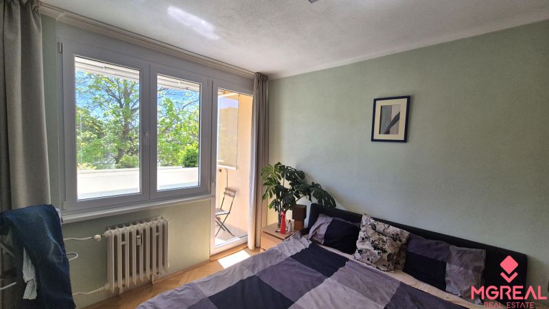 A bedroom in a two-room apartment with access to a balcony and a houseplant.