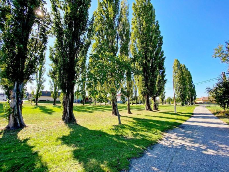 Vlčany Family house Sale reality Šaľa