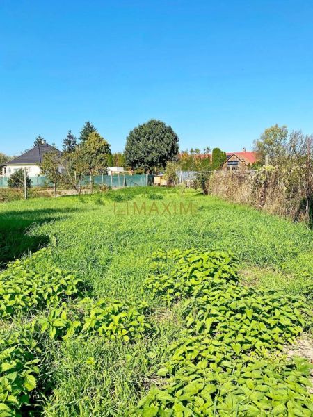 Vlčany Family house Sale reality Šaľa