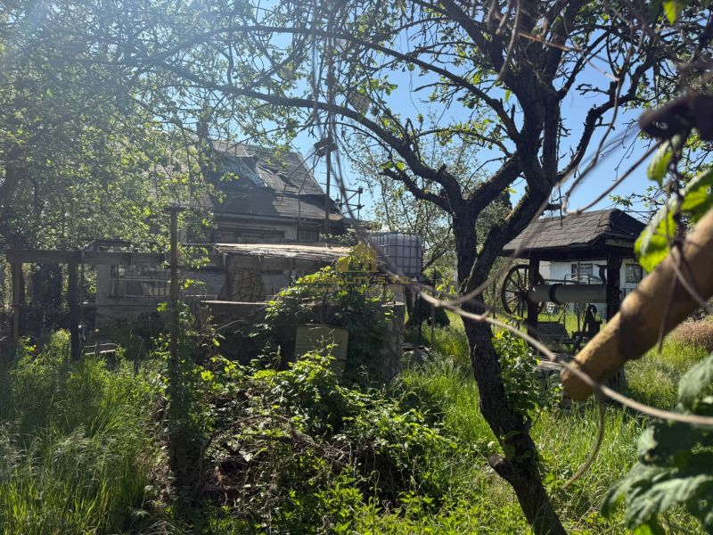 A cottage in Malacky surrounded by greenery and trees, with a car in the background.