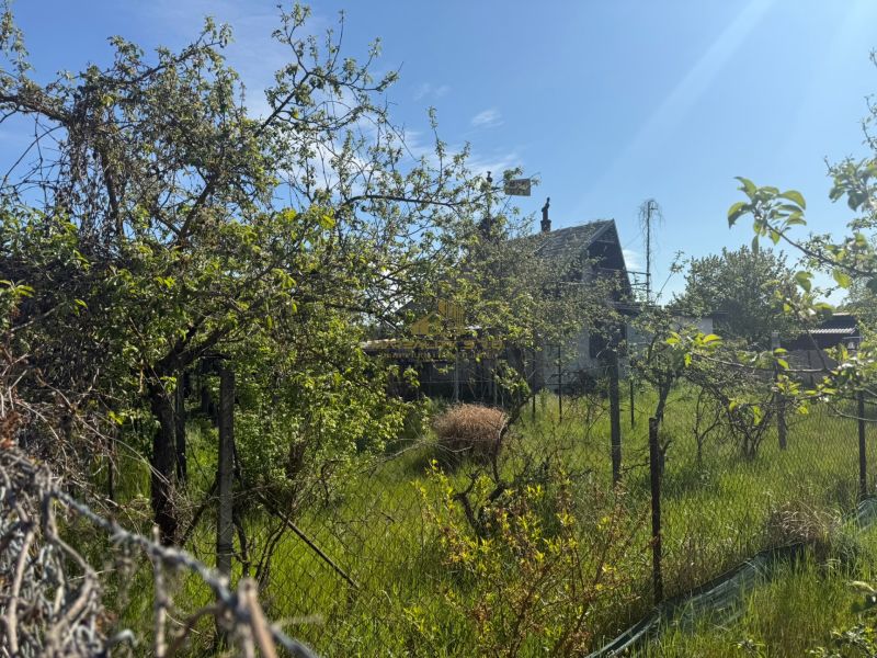 A cottage in Malacky surrounded by greenery and fruit trees behind the fence.