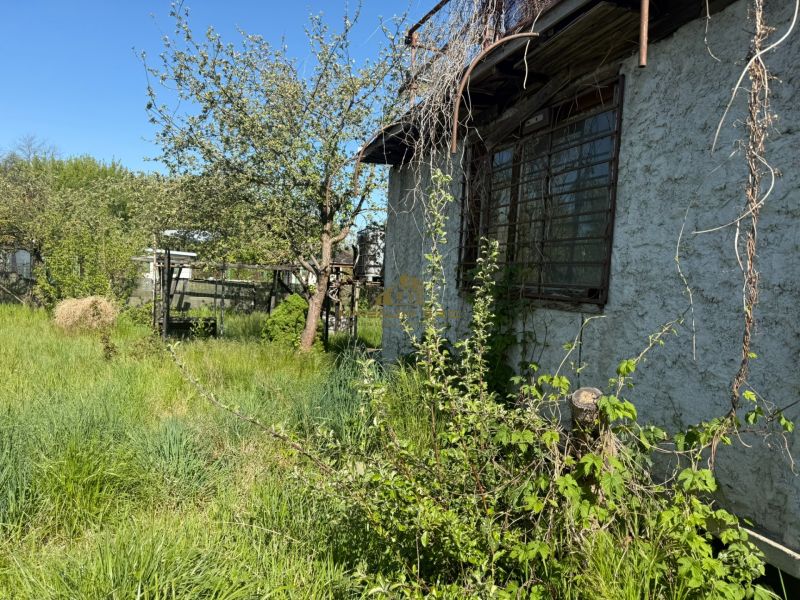A cottage in Malacky surrounded by lush greenery and trees, clear sky.
