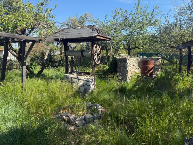 The garden by the cottage in Malacky with a stone well and wild grass.