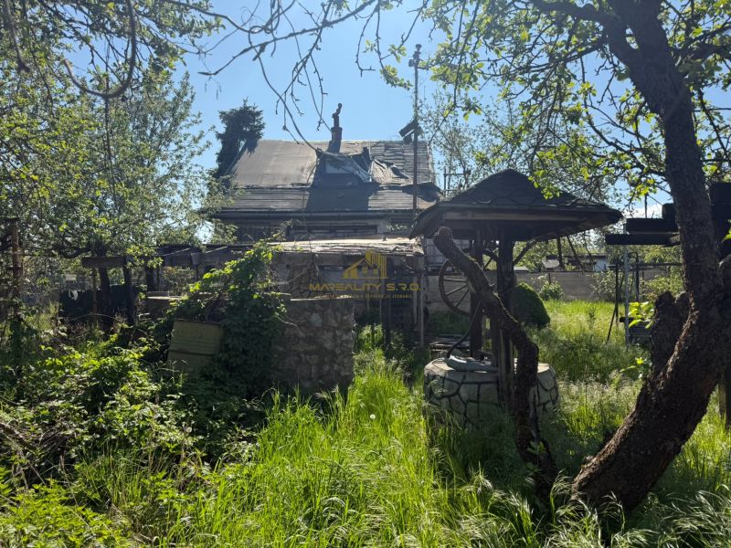 A garden with a cottage in Malacky surrounded by thick grass and an old tree.
