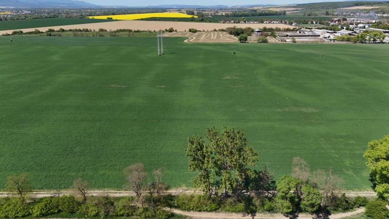 Green recreational lands near Trhovište with a view of the village and yellow fields.
