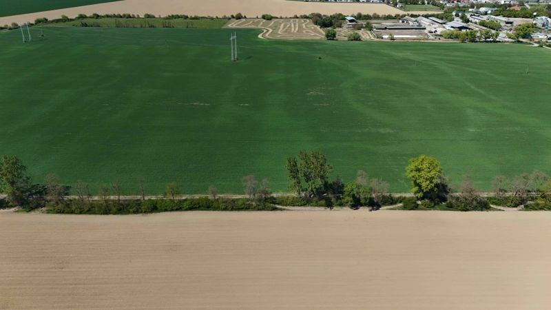 Recreational plots in Trhovište with expansive green and brown fields and trees.