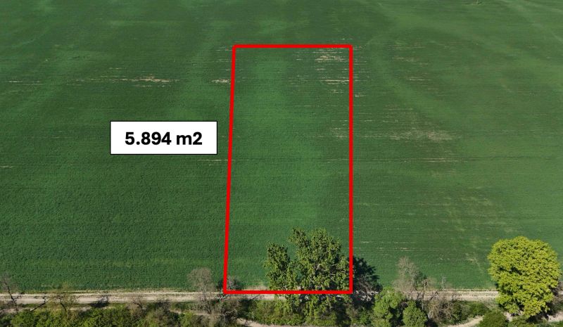 Recreational land in Trhovište, a green area with a size of 5,894 m² with a road.
