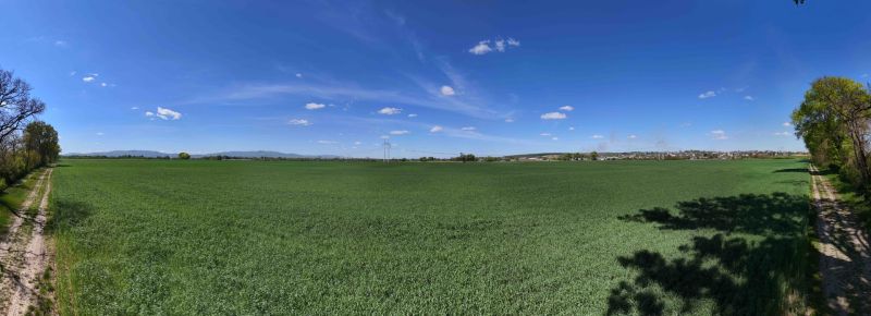 Vast green fields and a road with a view of recreational plots in Trhovištia.