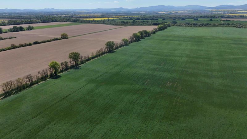 Aerial view of agricultural fields and trees between recreational properties in Trhovišťa.