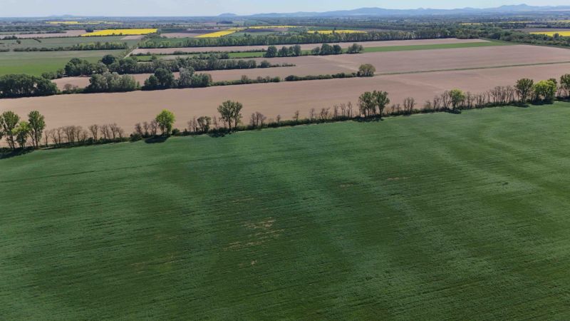 Vast fields surrounded by trees in Trhovište, recreational plots set in nature.