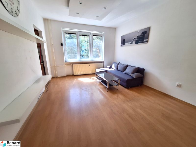 Living room in a studio apartment with wood-patterned flooring, a sofa, and a coffee table.