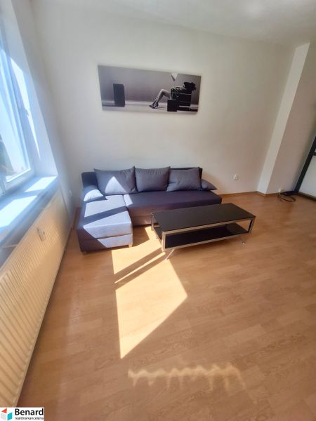 Living room in a one-bedroom apartment with a sofa and wood-patterned flooring.