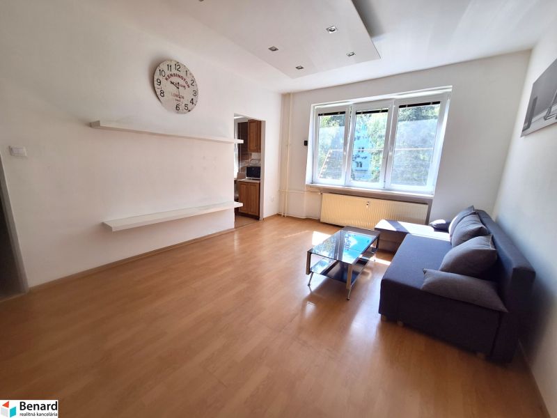 A bright living room with wood-patterned flooring and a sofa in a studio apartment.