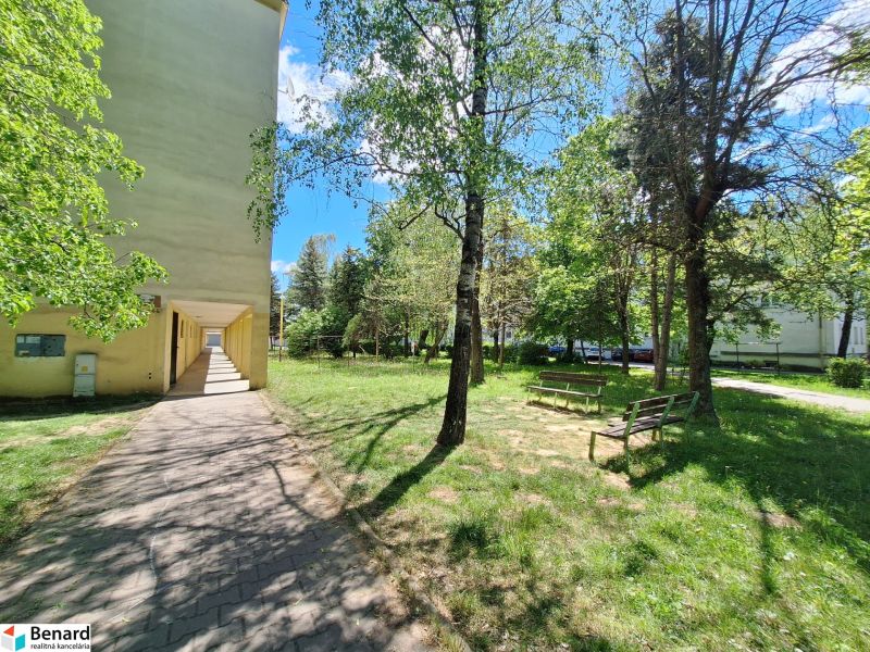 Path and benches surrounded by greenery near the apartment building on Železiarenská Street in Šaca.
