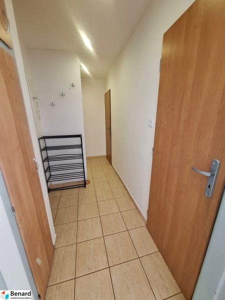Hallway in a one-room apartment with doors and hooks on the wall.