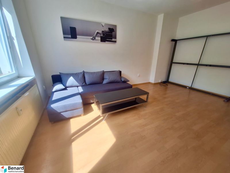 Living room in a studio apartment with a couch and wood-patterned flooring.