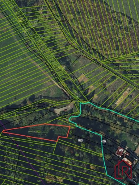 Aerial view of gardens in Kendice with marked parcels and vegetation.