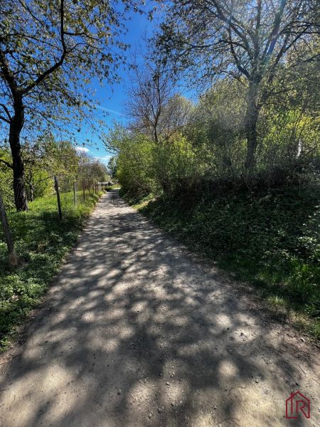 A natural path in the gardens of Kendice with a blue sky and tree shadows.