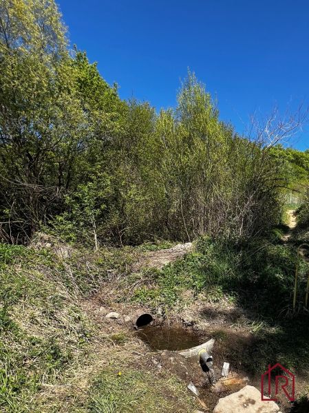 A forest nook in the Gardens of Kendice with a stream and pipes under the blue sky.